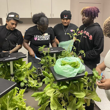 A group of people standing around some plants.